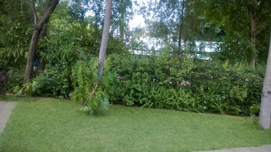 Gloria'S Bed And Breakfast Livingstone Exterior foto